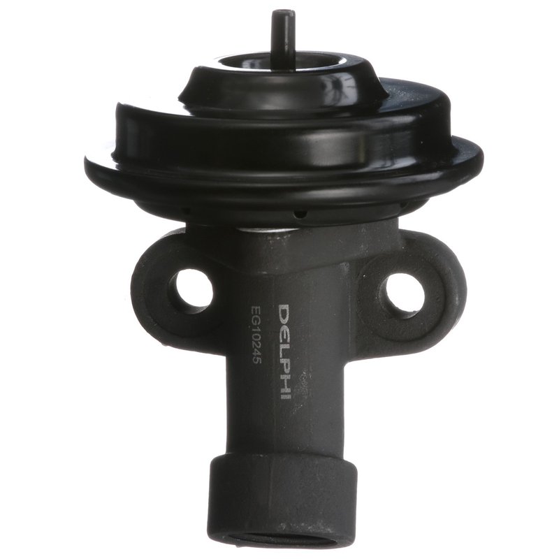 Delphi EG10245 EGR Valve
