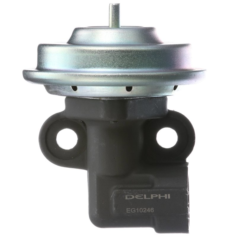 Delphi EG10246 EGR Valve