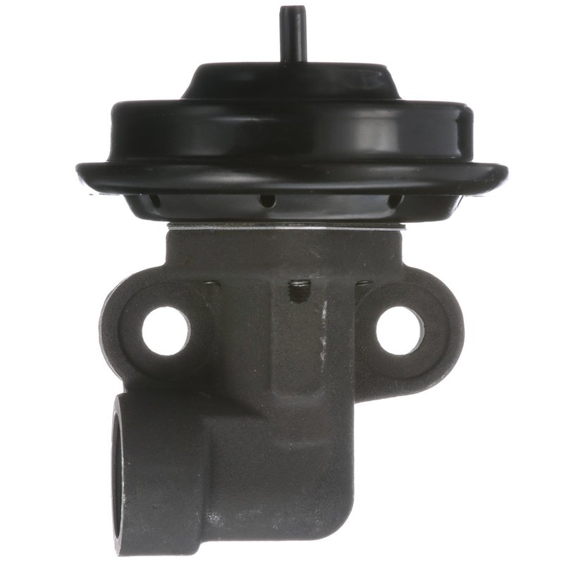 Delphi EG10247 EGR Valve