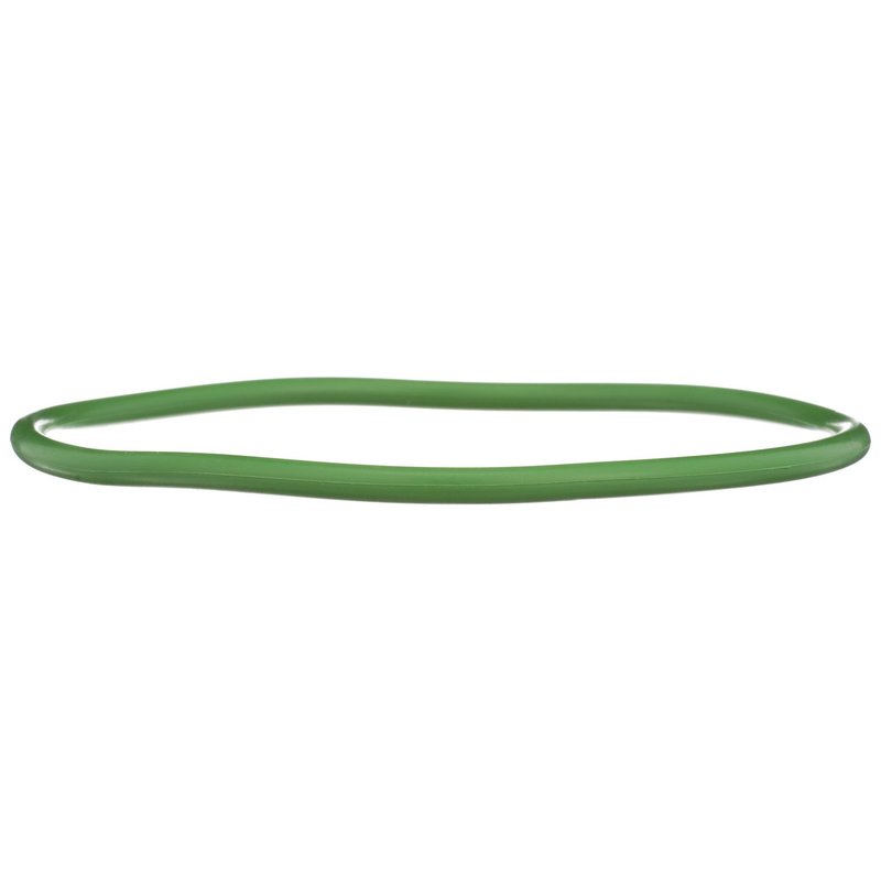 Delphi FA10029 Fuel Pump Tank Seal