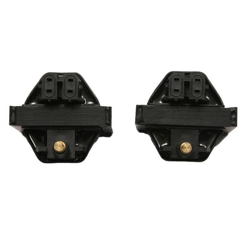 Delphi GN10048 Ignition Coil