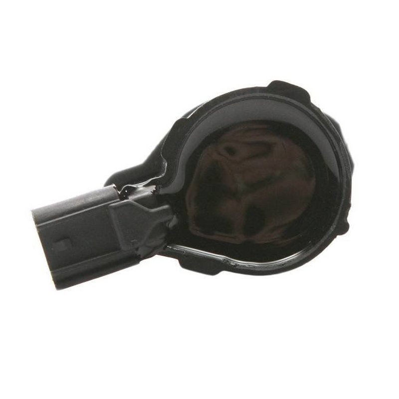 Delphi GN10193 Ignition Coil