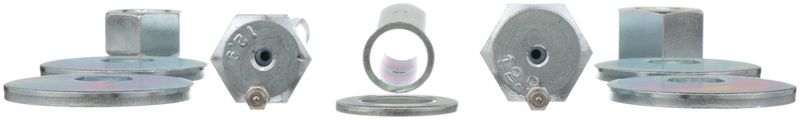 Delphi TAL10012 Alignment Cam Bolt Kit - Front
