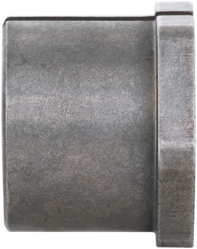 Delphi TAL10069 Alignment Caster / Camber Bushing