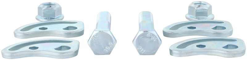 Delphi TAL10070 Alignment Caster / Camber Cam Bolt Kit - Front