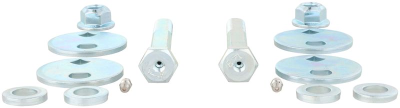 Delphi TAL10071 Alignment Caster / Camber Cam Bolt Kit - Front
