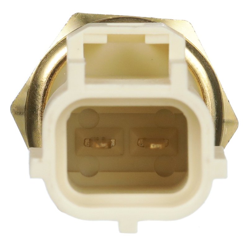 Delphi TS10289 Engine Coolant Temperature Sensor