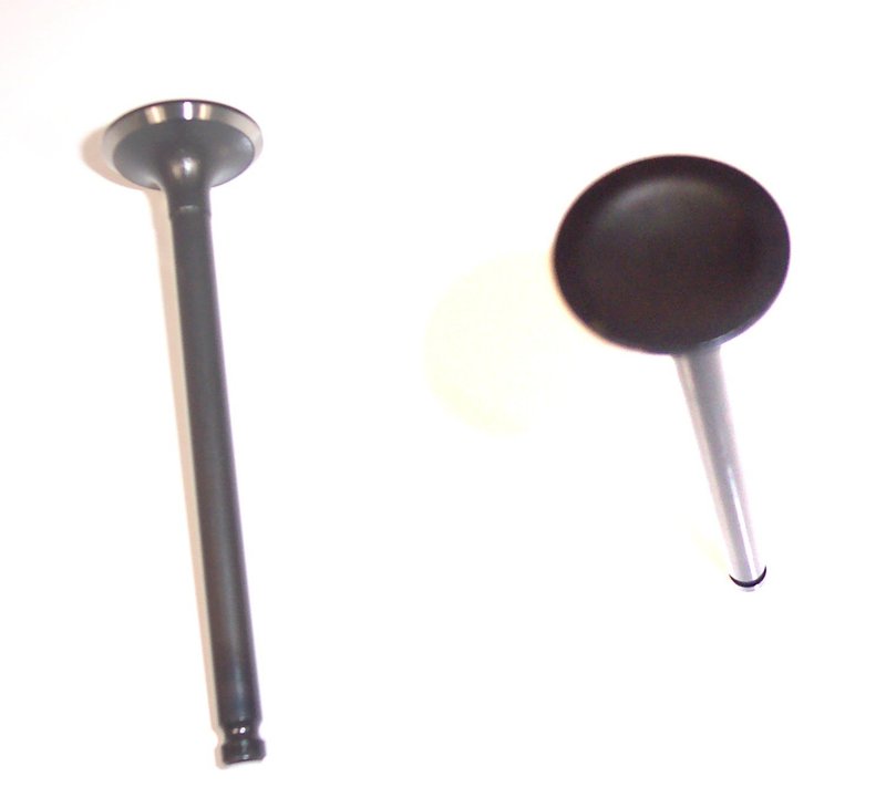DJ Rock IV217 Engine Intake Valve