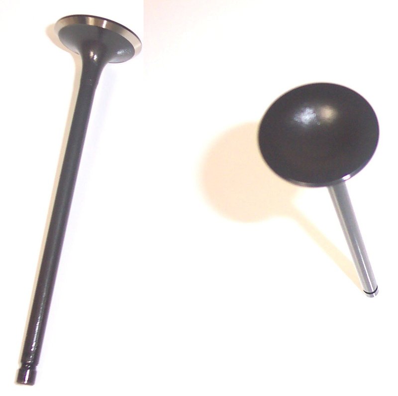DJ Rock IV295 Engine Intake Valve