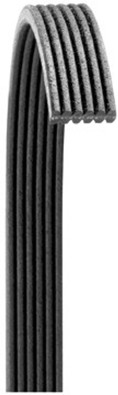 Dayco 6060730 Serpentine Belt - Main Drive