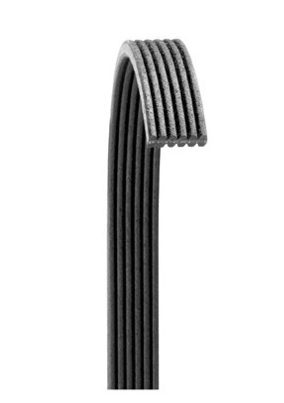 Dayco 6080719 Serpentine Belt - Main Drive