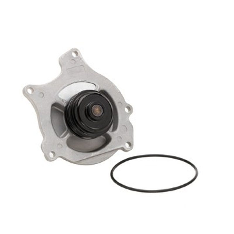 Dayco DP1310 Engine Water Pump
