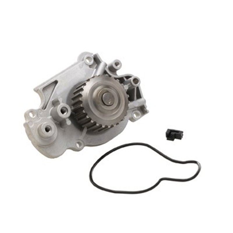 Dayco DP556 Engine Water Pump