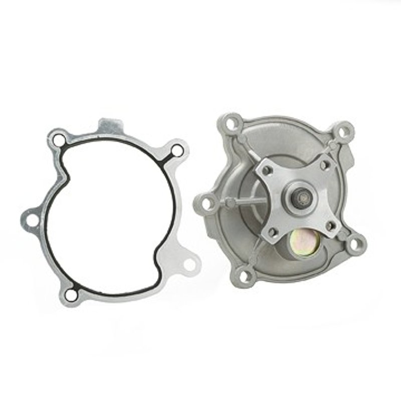 Dayco DP981 Engine Water Pump