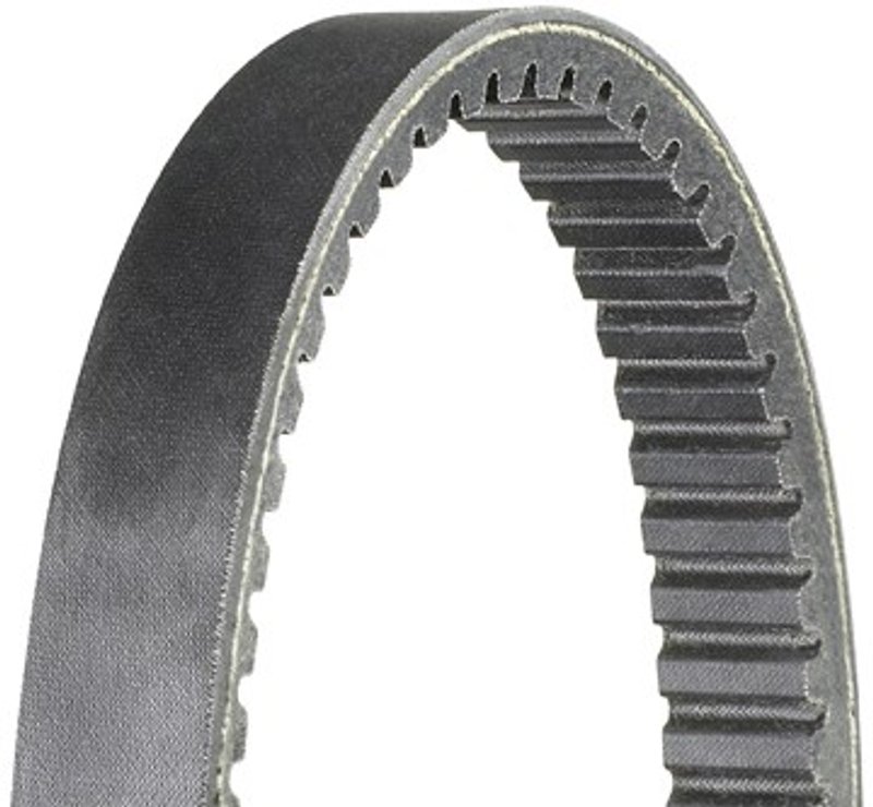 Dayco HP2003 Automatic Continuously Variable Transmission (CVT) Belt - Drive Belt