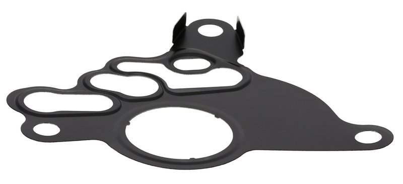 Elring 809.931 Fuel Pump Gasket