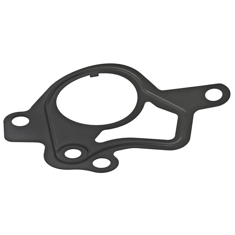 Elring 840.260 Vacuum Pump Gasket