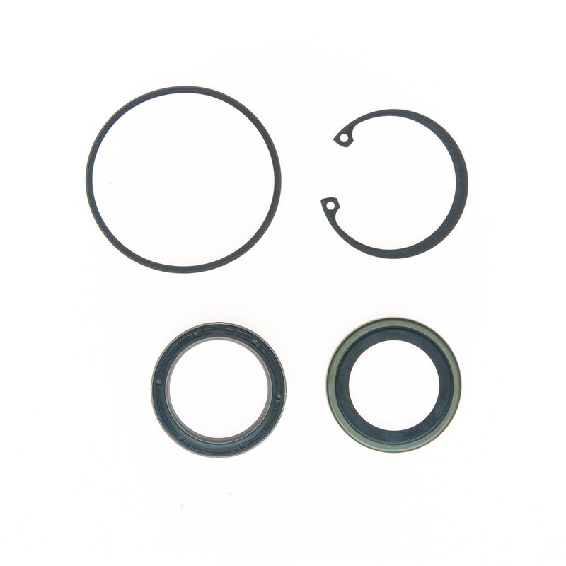 Edelmann 8783 Steering Gear Pitman Shaft Seal Kit