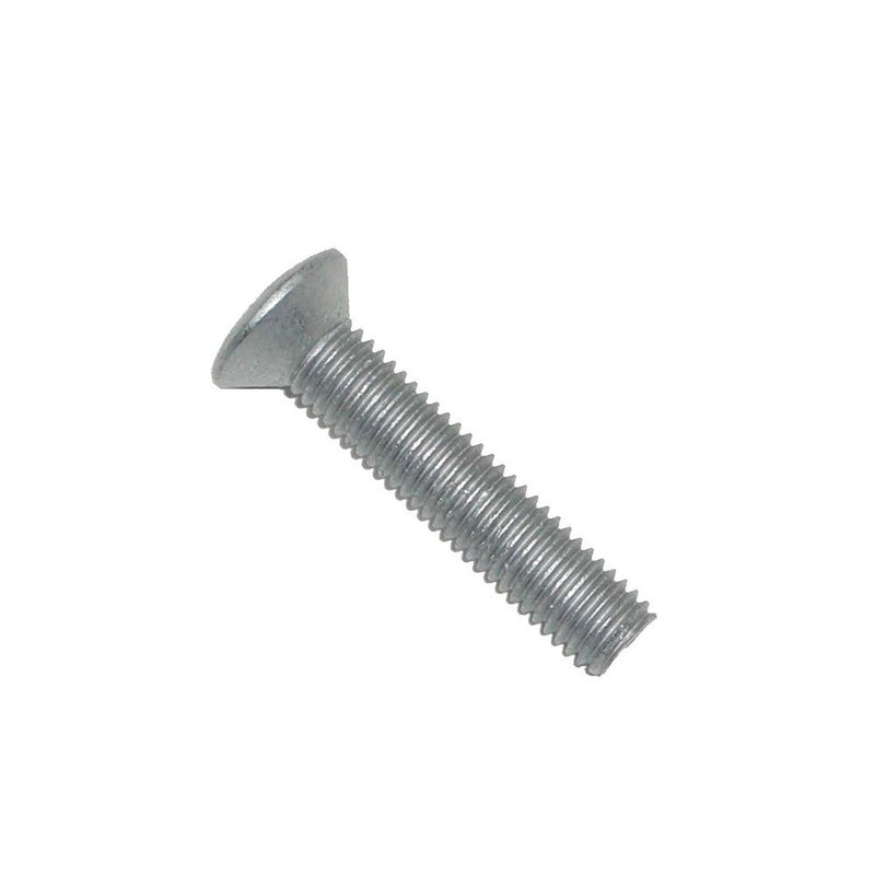 Hotbray BYG100140LES Door Hinge Screw - Front