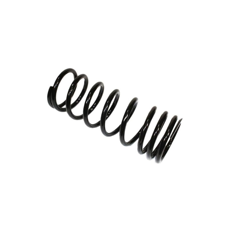 Hotbray NRC9446ES Coil Spring - Front Left