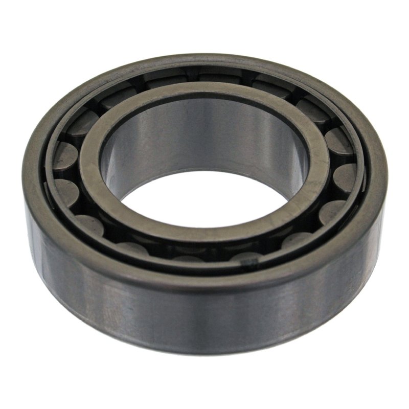 Febi 04843 Wheel Bearing - Rear
