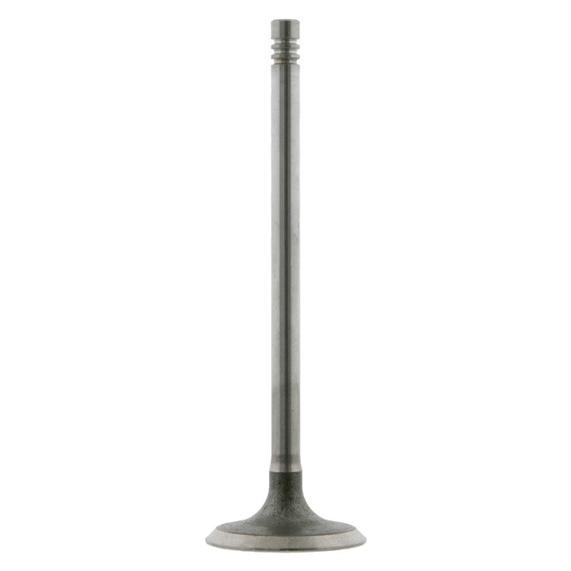 Febi 24160 Engine Intake Valve
