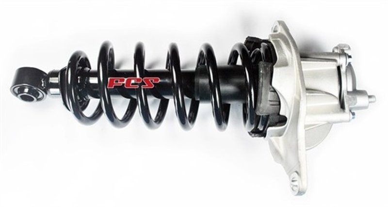 FCS 1345823L Suspension Strut and Coil Spring Assembly - Rear Left