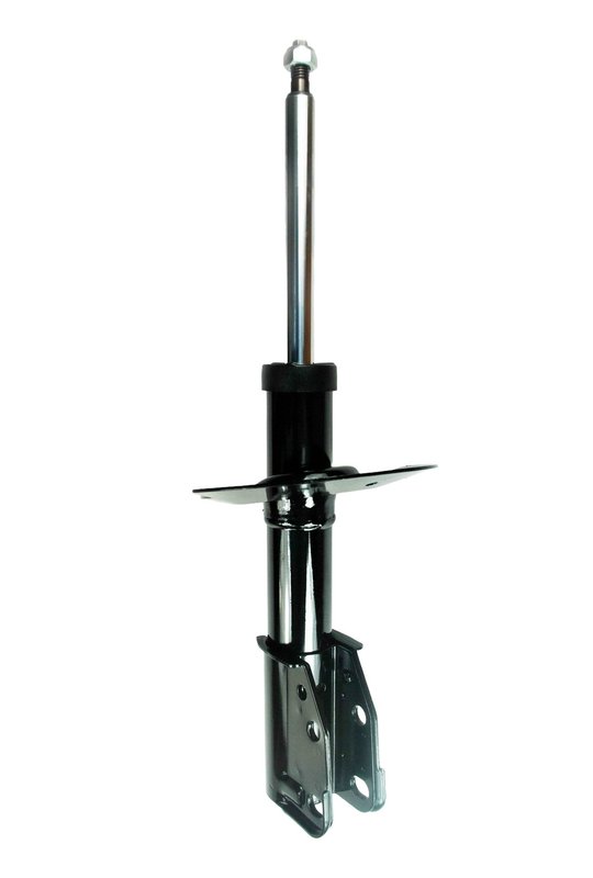 FCS 332317 Suspension Strut Assembly - Front