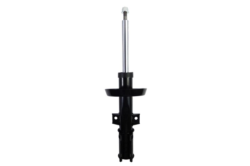 FCS 333160 Suspension Strut Assembly - Front