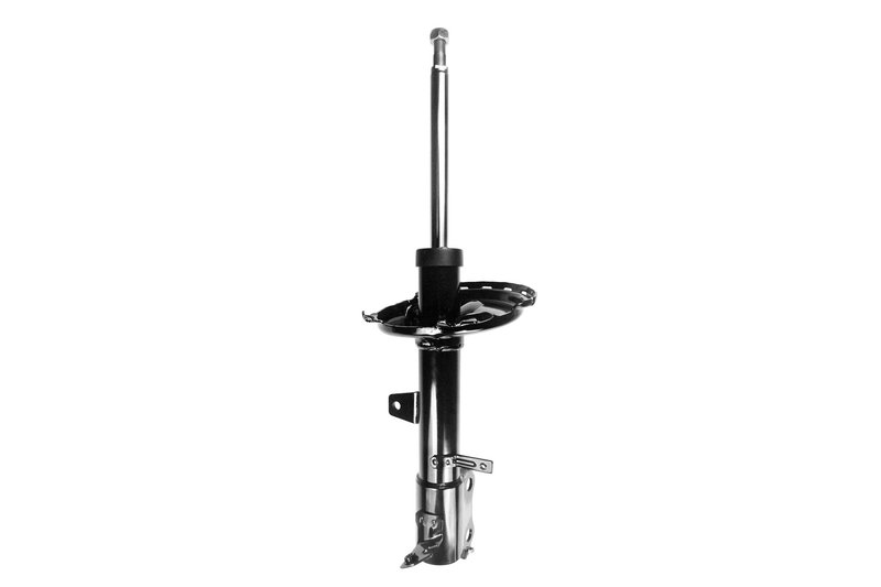 FCS 333448L Suspension Strut Assembly - Rear Left
