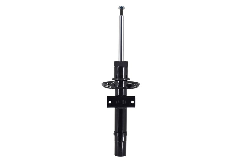 FCS 334002 Suspension Strut - Front