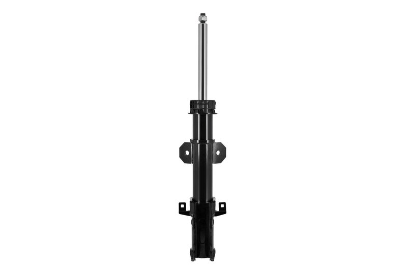 FCS 334078 Suspension Strut - Front