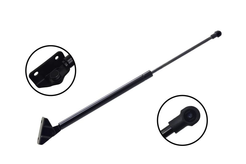 FCS 80061 Liftgate Lift Support