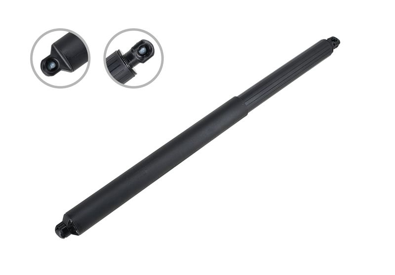 FCS 89093R Liftgate Lift Support - Rear Right