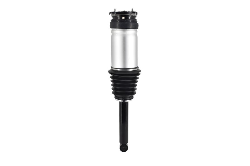 FCS 93025 Air Suspension Strut - Rear