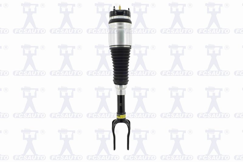 FCS 99038 Air Suspension Strut - Front Right