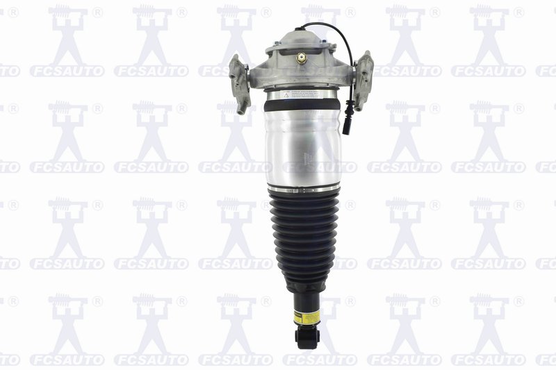 FCS 99074 Air Suspension Strut - Rear Left