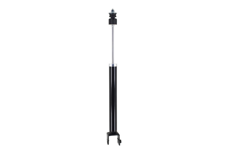 FCS DT346853 Suspension Shock Absorber - Rear