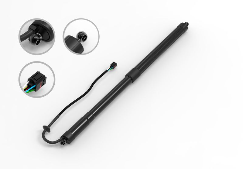FCS E89001 Liftgate Lift Support - Rear