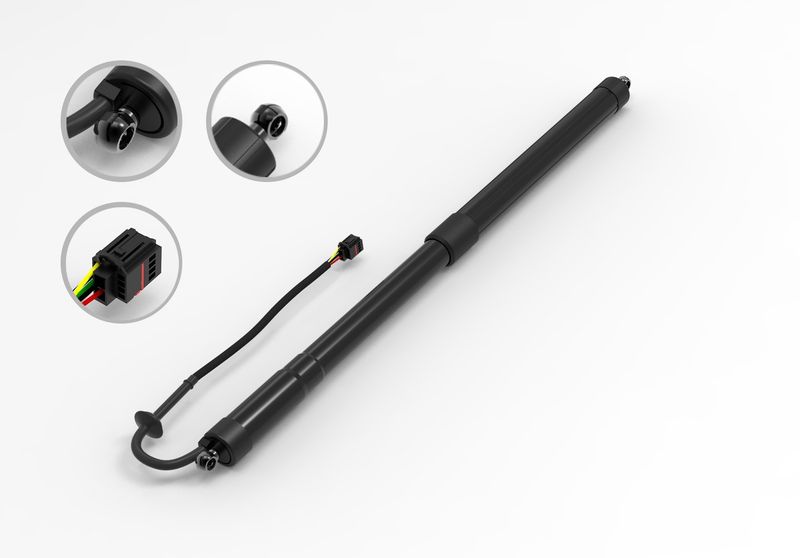 FCS E89003 Liftgate Lift Support - Rear
