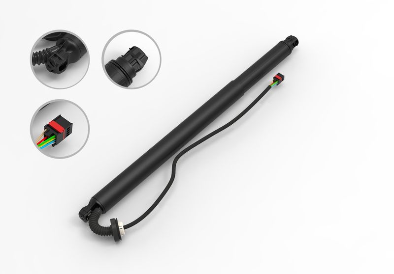 FCS E89006 Liftgate Lift Support - Rear