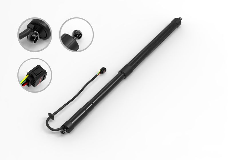 FCS E89019 Liftgate Lift Support - Rear