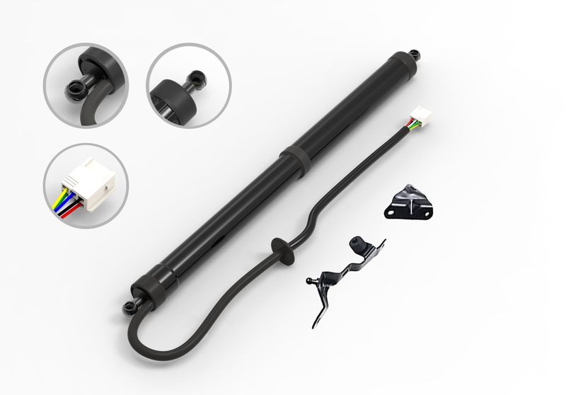 FCS E89025R Liftgate Lift Support - Rear Right