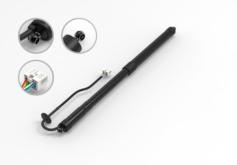FCS E89029 Liftgate Lift Support - Rear