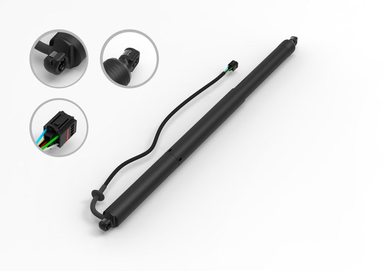 FCS E89031 Liftgate Lift Support - Rear