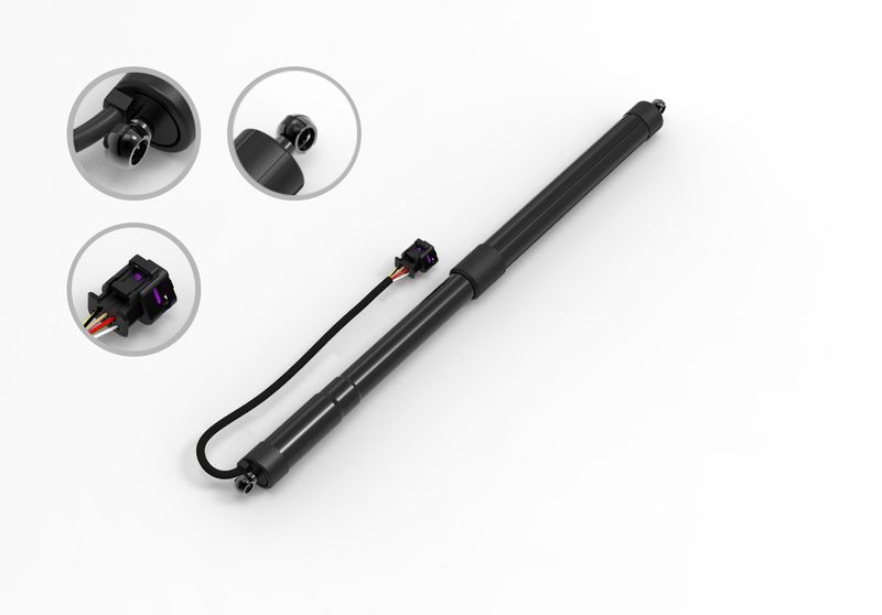 FCS E89060 Liftgate Lift Support - Rear