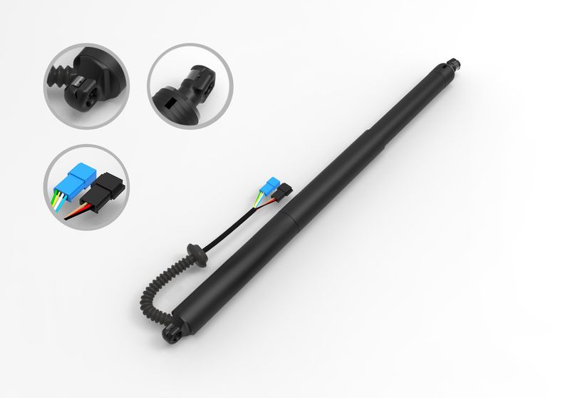 FCS E89064 Liftgate Lift Support - Rear