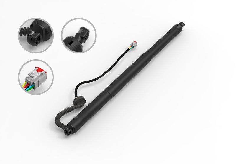 FCS E89071 Liftgate Lift Support - Rear