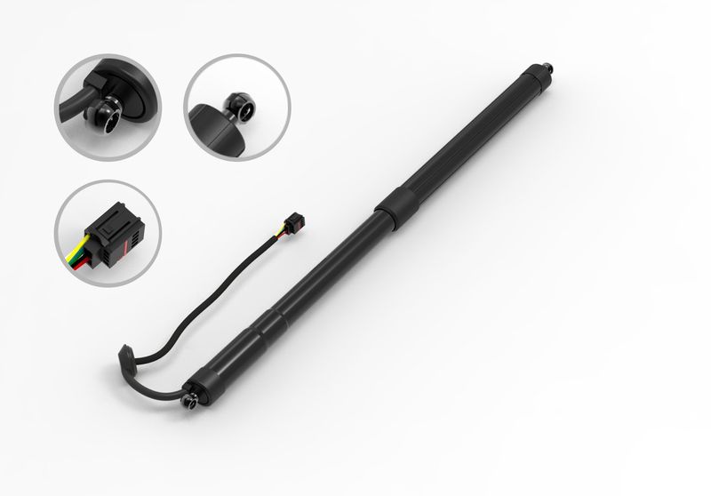 FCS E89077 Liftgate Lift Support - Rear