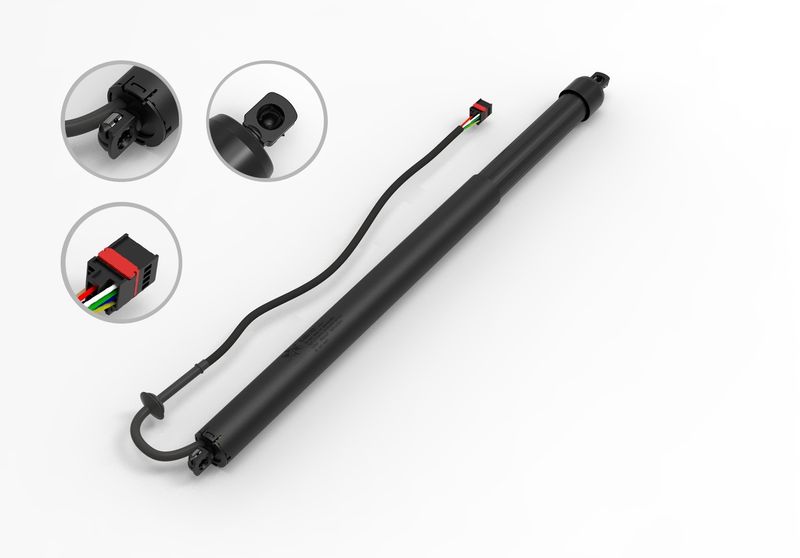 FCS E89083 Liftgate Lift Support - Rear